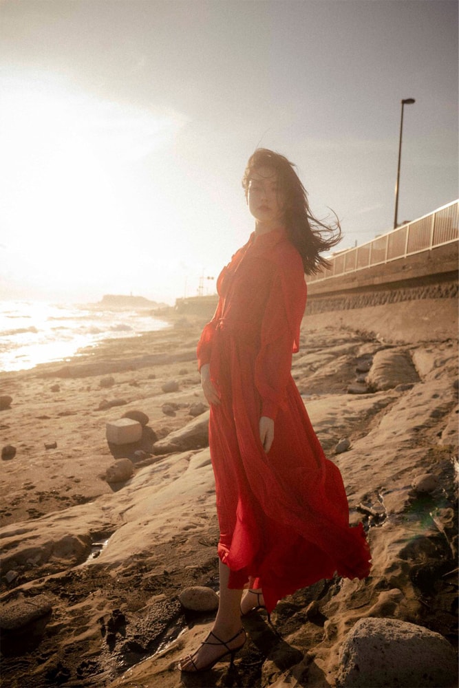 MAX ポートフォリオ