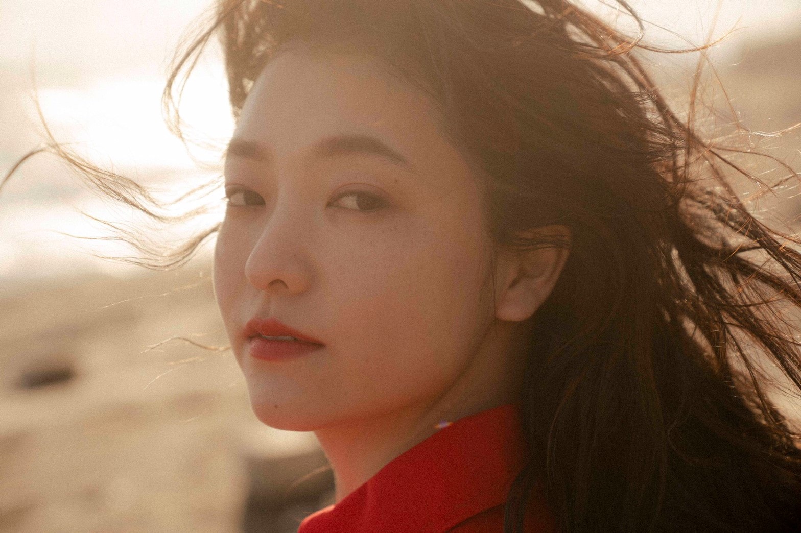 MAX ポートフォリオ